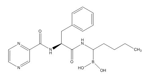 Bortezomib Impurity C