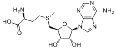 S-Adenosyl-L-Methionine Disulfate Tosylate