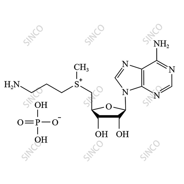 Decarboxylated S-Adenosylmethionine Phosphate