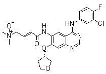 Afatinib Impurity L