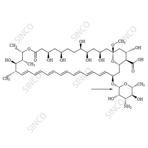 Amphotericin X1  (13-O-Methyl Amphotericin B)