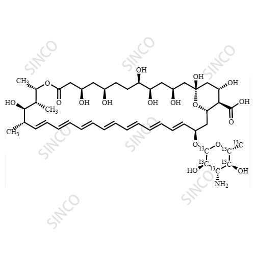 Amphotericin B-13C6