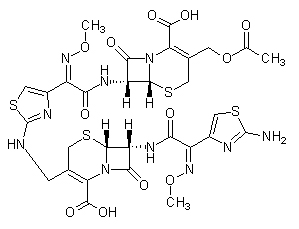 Cefotaxime Imp.F