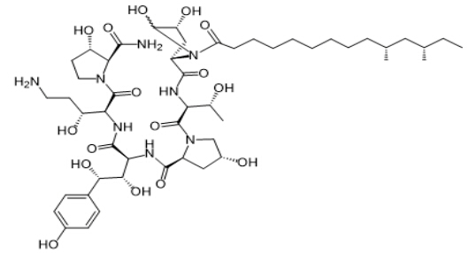 Caspofungin  Related compound E