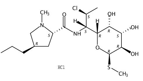 Clindamycin HCl