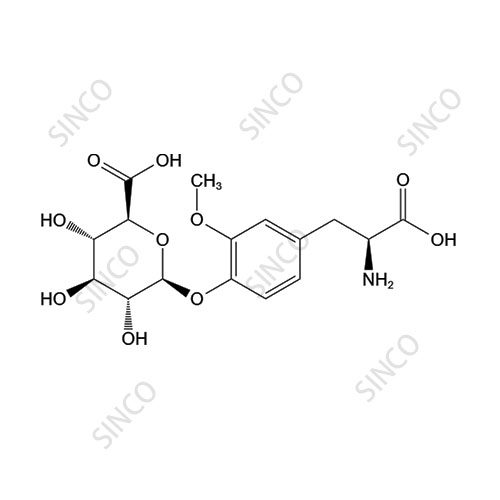 3-O-methyl dopa glucuronide