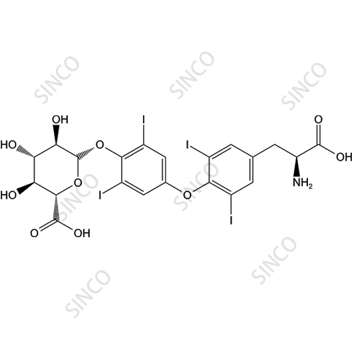 Levothyroxine phenolic glucuronide