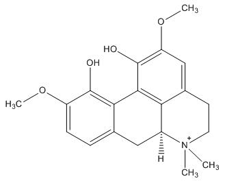 Magnoflorine Hydroxide