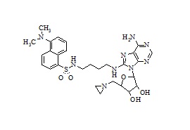 8-Amino[1''-(N''-dansyl)-4''-aminobutyl]-5'-(1-aziridinyl)-5'-deoxy adenosine