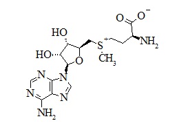 (S,S)-Adenosyl-L-Methionine