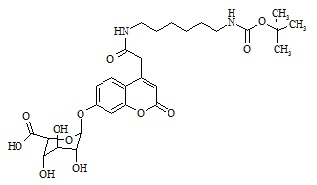 Mucopolysaccharidosis Type II Related Compound MPS-II-2 (IdS-P)