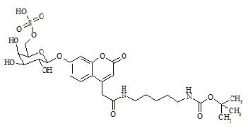 Mucopolysaccharidosis Type IV Related Compound MPS-IV-1 (GALNS-S)