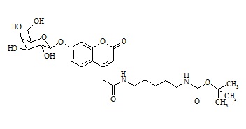 Mucopolysaccharidosis Type IV Related Compound MPS-IV-2 (GALNS-P)