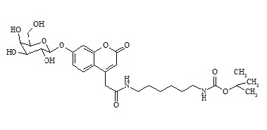 Mucopolysaccharidosis Type IV Related Compound MPS-IV-3 (GALNS-IS)