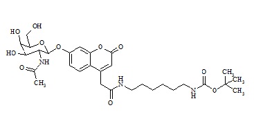 Mucopolysaccharidosis Type VI Related Compound MPS-VI-2 (ASB-P)