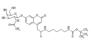 Mucopolysaccharidosis Type VI Related Compound MPS-VI-3 (ASB-IS)