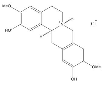 Phellodendrine Chloride