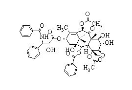 6-alpha-Hydroxy Paclitaxel