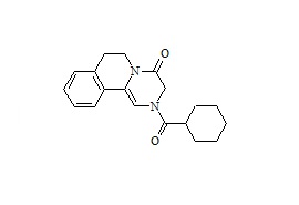 Praziquantel Related Compound B