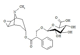 Scopolamine Glucuronide