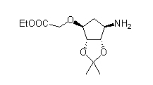 Ticagrelor Intermediate 4