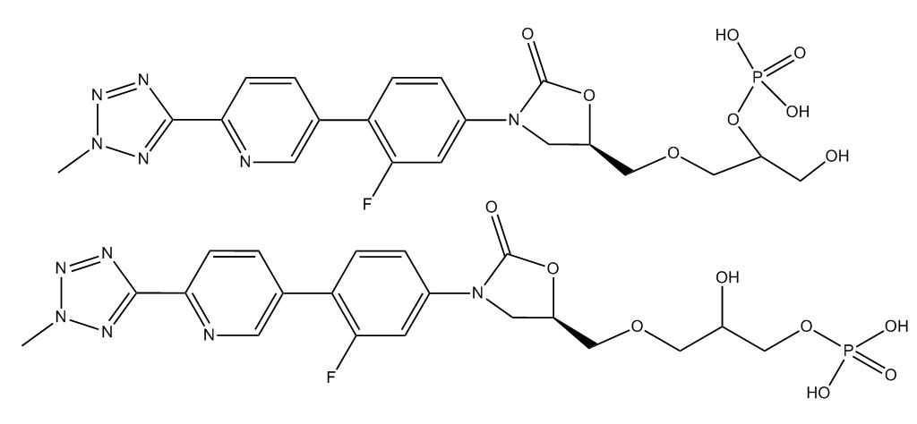 Tedizolid Peralkylated Phosphate