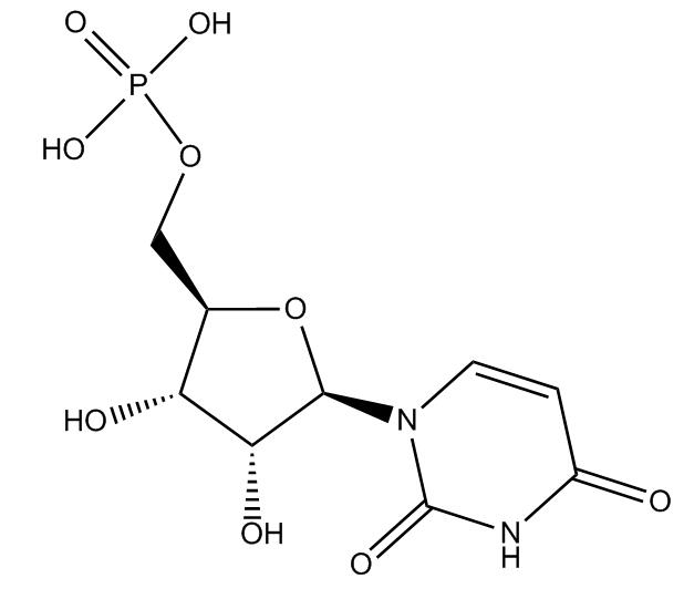 Uridine-5-Monophosphat