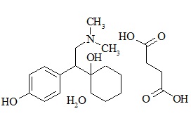 Desvenlafaxine succinate monohydrate