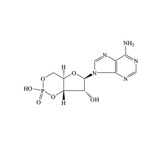 Adenosine cyclic monophosphate
