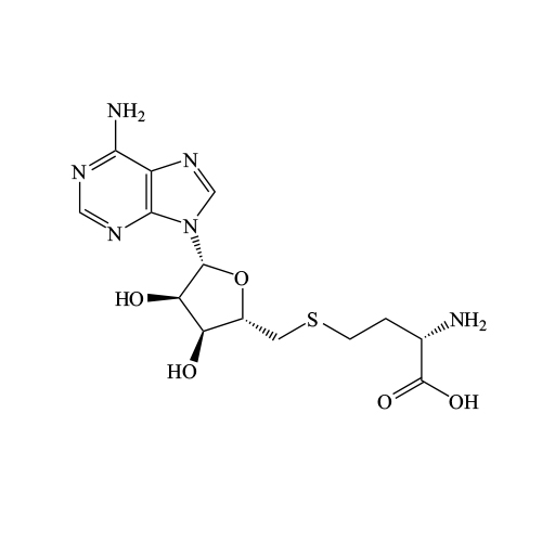 S-Adenosyl-L-Homocysteine