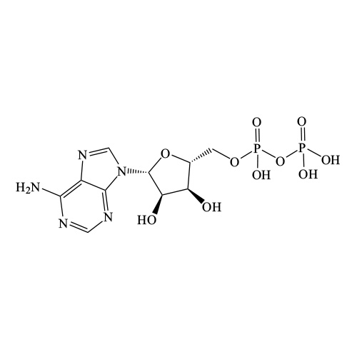 Adenosine 5'-diphosphate
