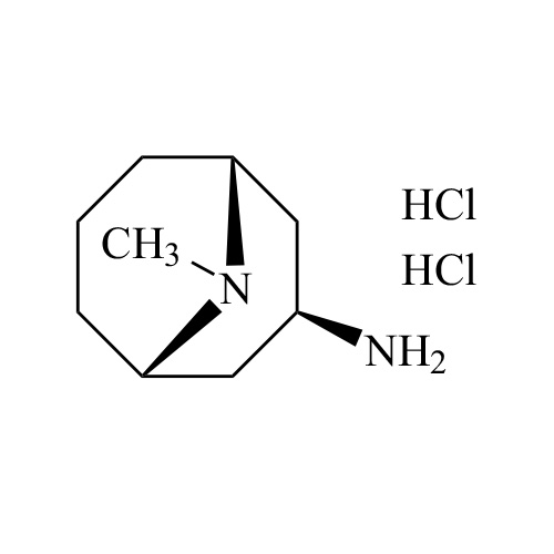 Granisetron Impurity 10