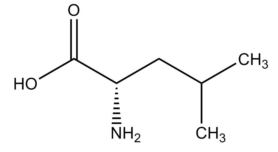 L-Leucine