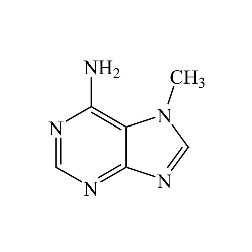 7-Methyladenine