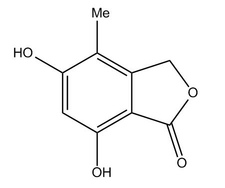 Mycophenolate Mofetil Impurity 1
