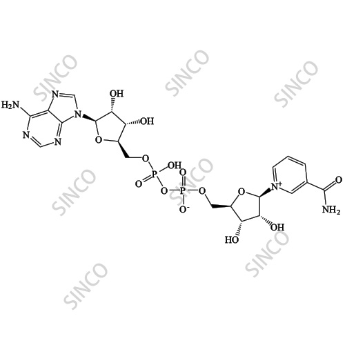 Nicotinamide Adenine Dinucleotide