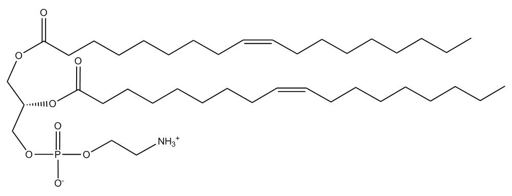 Phosphatidylethanolamine