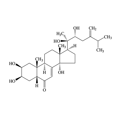 Polyporusterone B