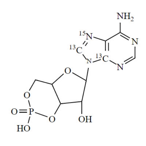 Adenosine-3',5'-cyclic Monophosphate-13C2-15N