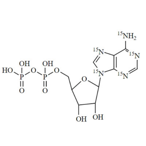 Adenosine 5'-Diphosphate-15N5