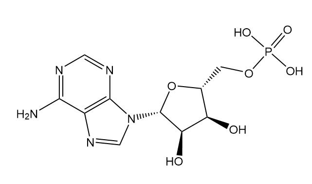 Adenosine 5'-Monophosphate