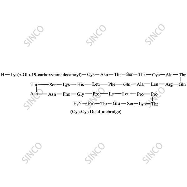 SYH2092A-013102