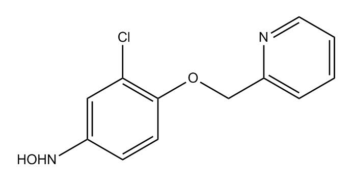 Neratinib Impurity PHA