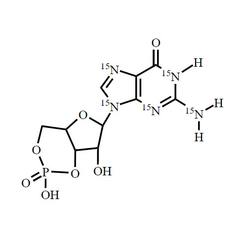 Guanosine 3,5-cyclic monophosphate-15N5