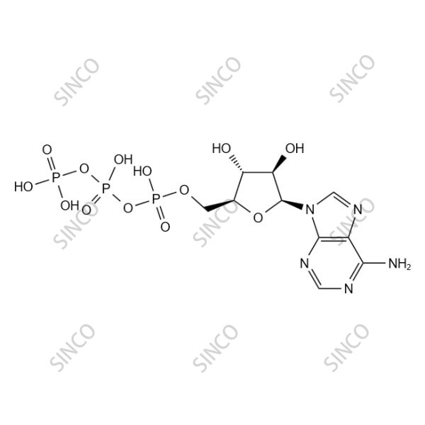 5 '- Adenosine triphosphate