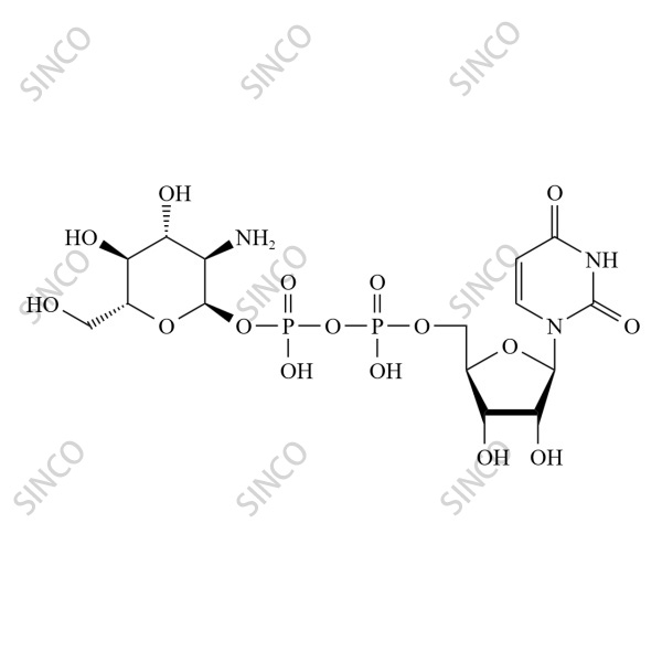 UDP-glucosamine