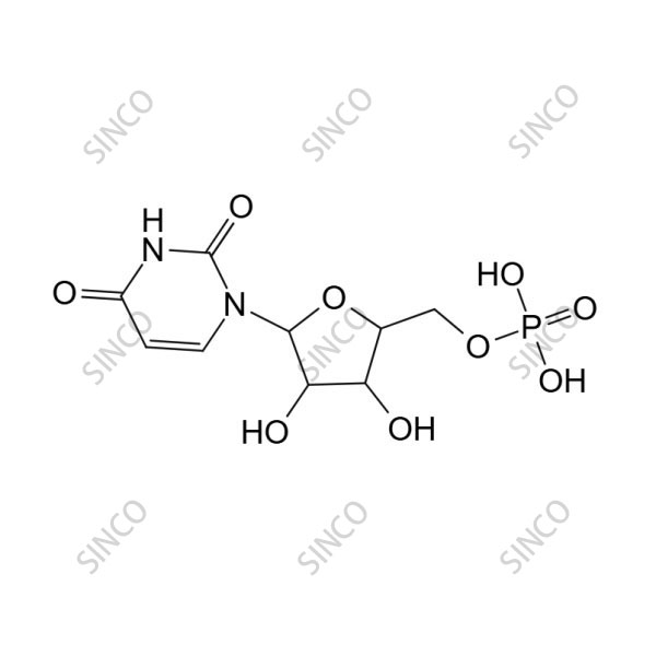 Uridine 5'-monophosphate